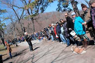 Goose lovers to Bloomy: Don’t you dare come for our birds