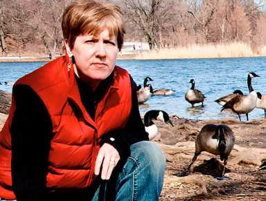 Our goal is to save geese