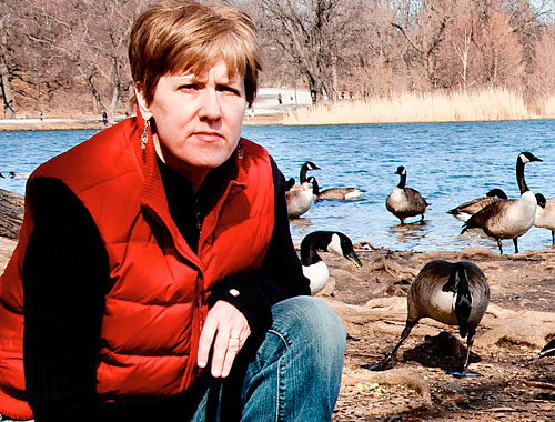 Our goal is to save geese