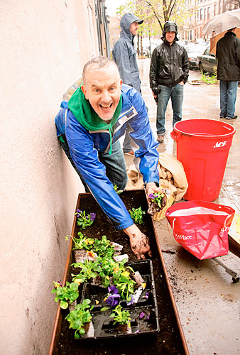 Greenest Block in Brooklyn? It’s on!