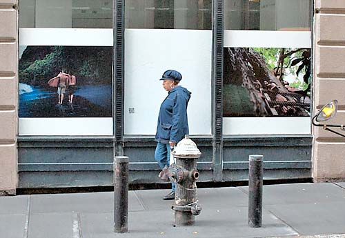 It’s a jungle out there as DUMBO ‘grows’ a cool photography project
