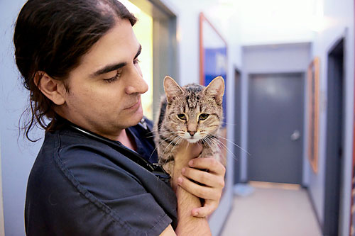 ASPCA did its job — now do yours: adopt a cat