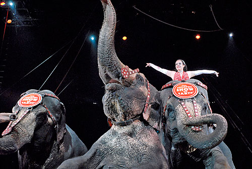 After Ringling snub, Coney gets another circus operator