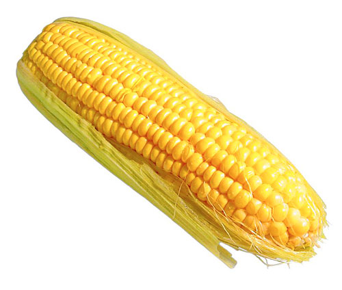 Corn — it’s not a vegetable!