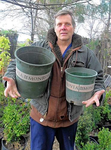 Green guerrillas! Someone is stealing plants from the Narrows Botanical Garden