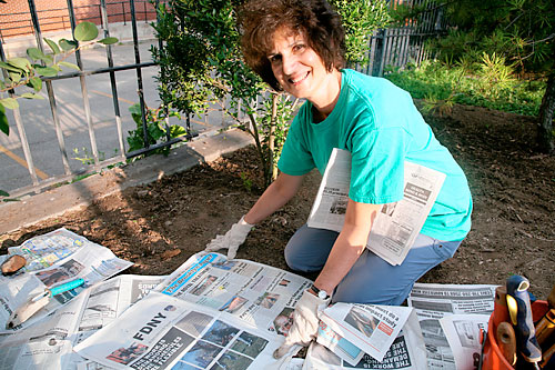 Yesterday’s news keeps Brooklyn Bridge Park green