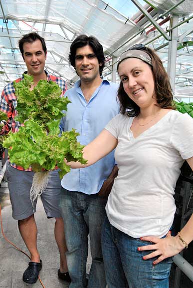 Raise the roof! A new greenhouse opens in Greenpoint