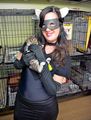 Caped crusader saves kitties