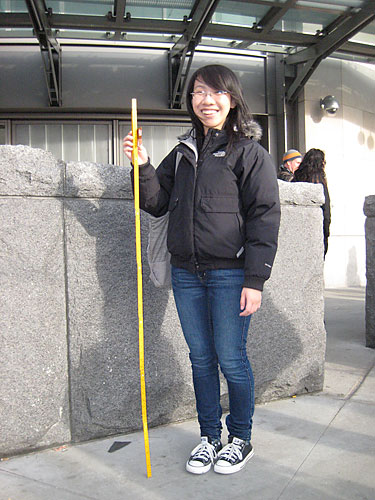 Bollard backtrack! MTA reverses course on Atlantic Terminal security sarcophagi
