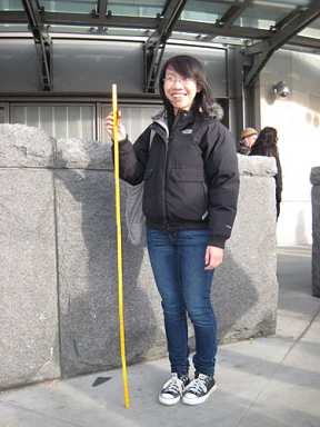 Bollard backtrack! MTA reverses course on Atlantic Terminal security sarcophagi