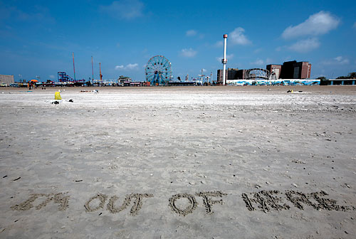 Where did the gull go?