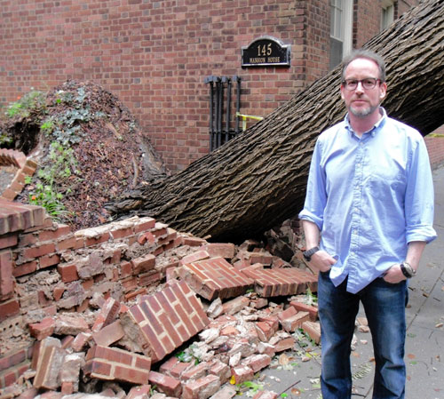 Irene’s Heights victim — the Mansion Elm!