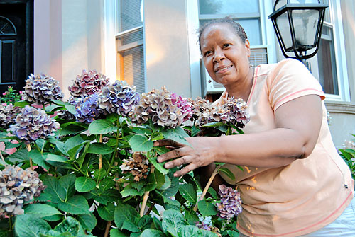 East 25th Street is the ‘Greenest Block’