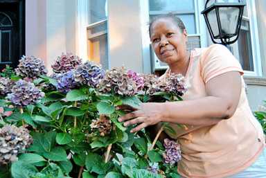East 25th Street is the ‘Greenest Block’