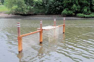 Good fences make good mussels