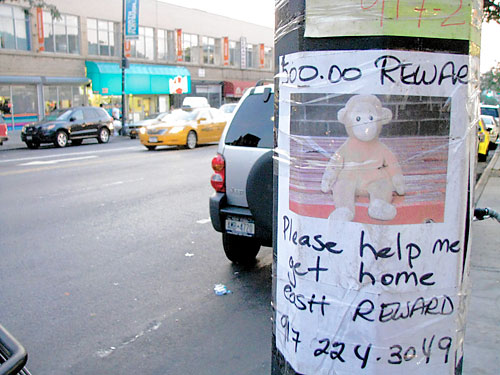 Couple offering big bucks for return of beloved monkey doll Bongo