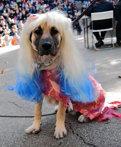 Your three-day Halloween guide!