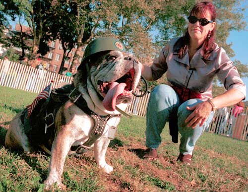Canines in costumes at Narrows Botanical Gardens ‘Harvest Festival’ on Oct. 16.