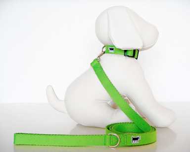 Atten-tion! It’s this week’s ‘Standing O’