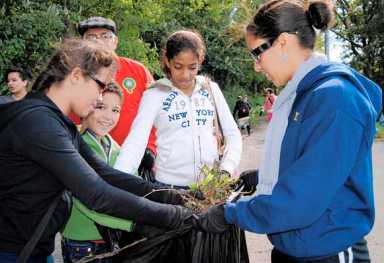 Clean it up! Ridgites pitch in to clean up Shore Road Park