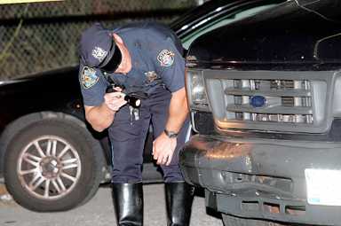 Senior killed in Paerdegats