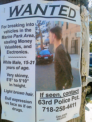 Most wanted: Marine Park man could land in hot water for pursuing car thief