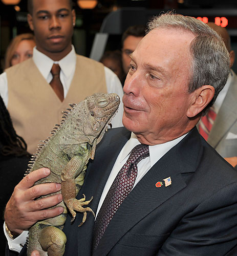 Elizabeth, beloved museum iguana, is dead