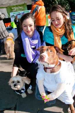 Pooches put on the dog for wag-tastic ‘Howl-o-Ween’ in Bklyn Heights