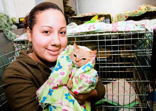 Pussies galore! Help adopt these abandoned cats