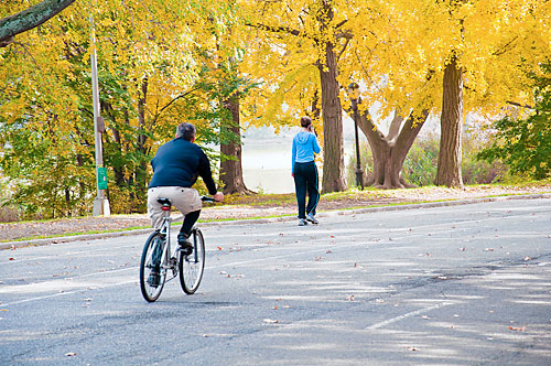 Park lover in a coma after being run down by cyclist