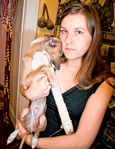 Vicious dog-on-dog violence in Prospect Park