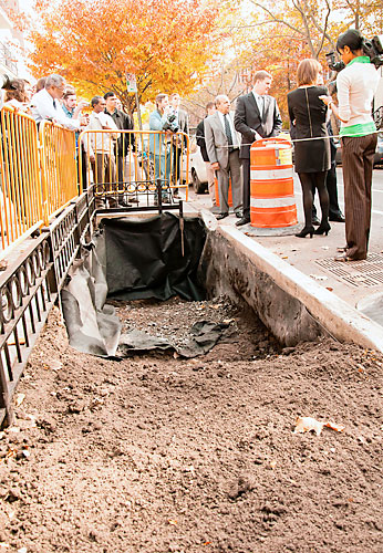 Are tree pits a ‘quick fix’ for Gowanus stink?