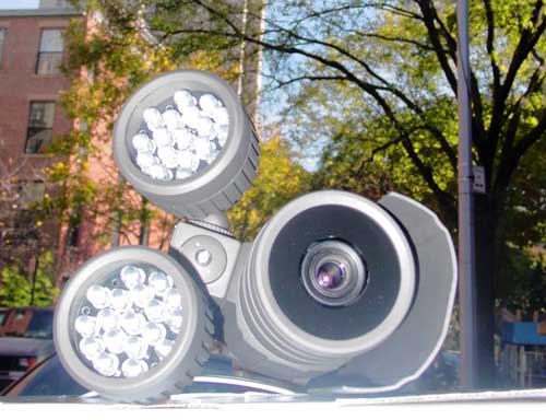 Boerum Hill pole watchers are getting the shaft!