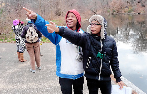 Loon lovers flock to Prospect Park for annual bird count