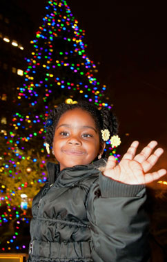 A tree glows at Borough Hall!