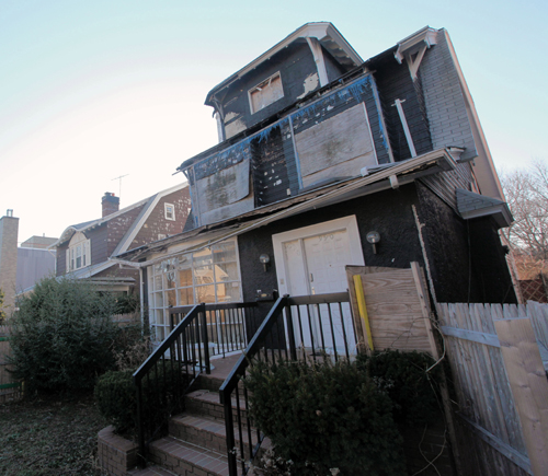 Dog lovers: Loose pit bulls are terrorizing Midwood
