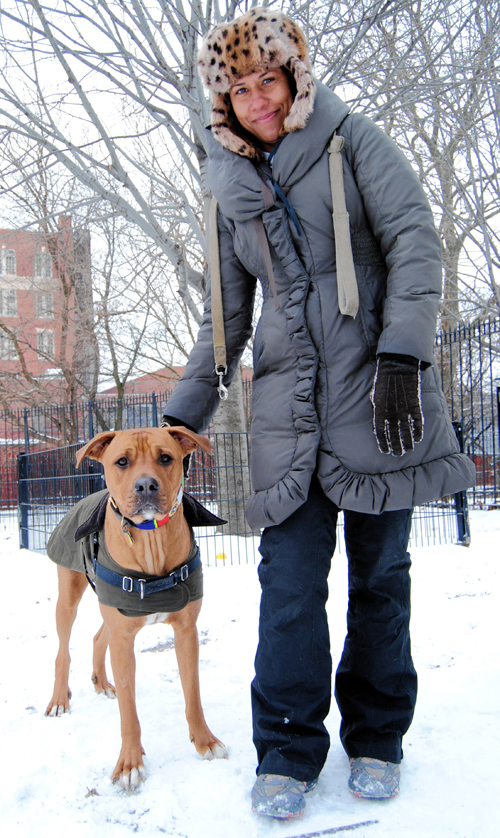 Lap it up, fuzzballs: Carroll Gardens park to get ‘doggie drinking fountains’