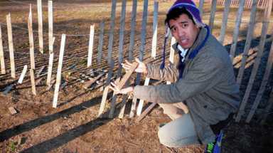 Vandals torch trees, kick down fences in Fort Greene Park
