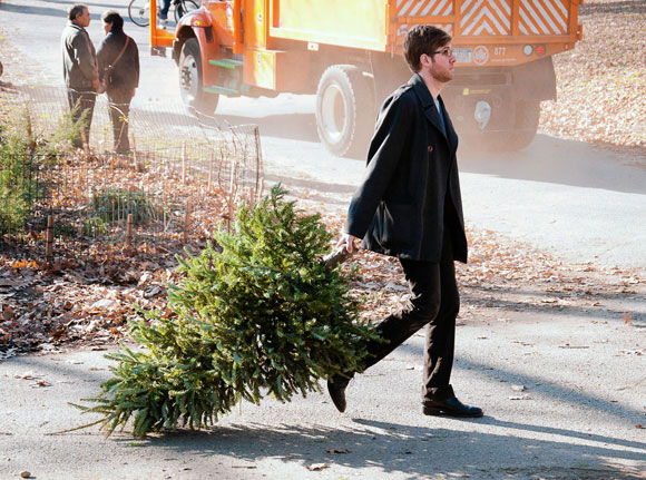 A Christmas tree’s circle of life
