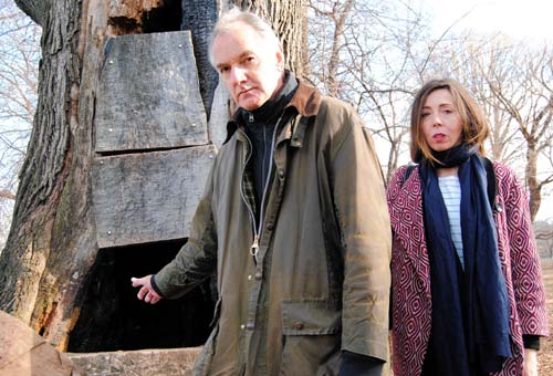 Tree houses: Vagrants take residence in Prospect Park trees