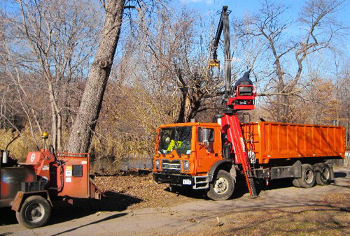 Wood chucked — into lake! City turns Prospect Park waterway into lumber dumpster