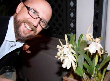 Exotic orchids inspire one special garden party