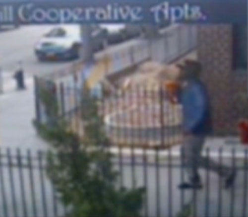 Cops: Help us find this Fort Greene mugger