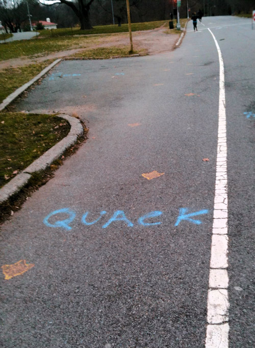 Graffiti ‘quack’ down: Vandal’s waterfowl-influenced tag in Prospect Park