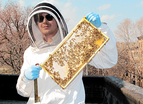 Here’s your chance to become a Navy Yard beekeeper