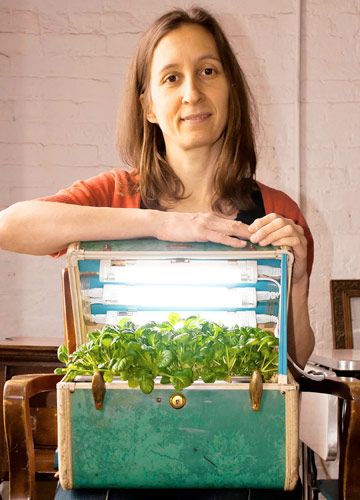 Couch potato? Artist puts gardens under furniture