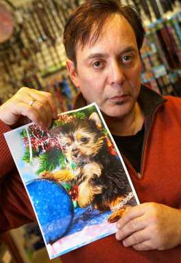 Dog gone it! Yorkie theft leaves Puppy Paradise in a ‘ruff’ spot