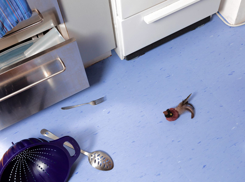 Murder is her business: Art shows stuffed animal crime scenes
