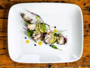 Summer foraging guide