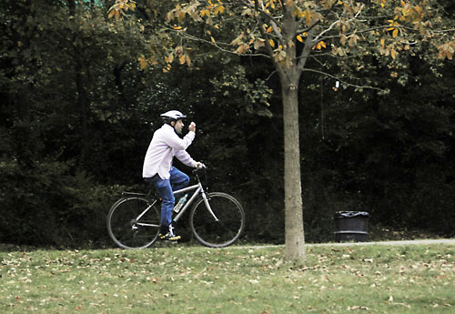 Democracy in action: Brooklynites vote to stop Prospect Park puddle